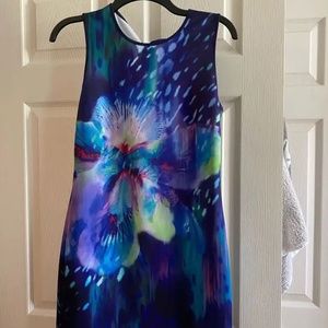Like new APT9 dress
